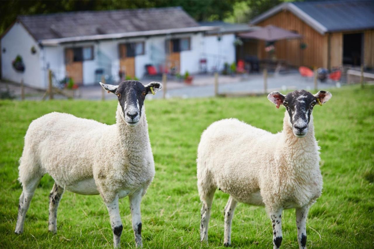 Newlands Farm Stables Villa Kendal Bagian luar foto