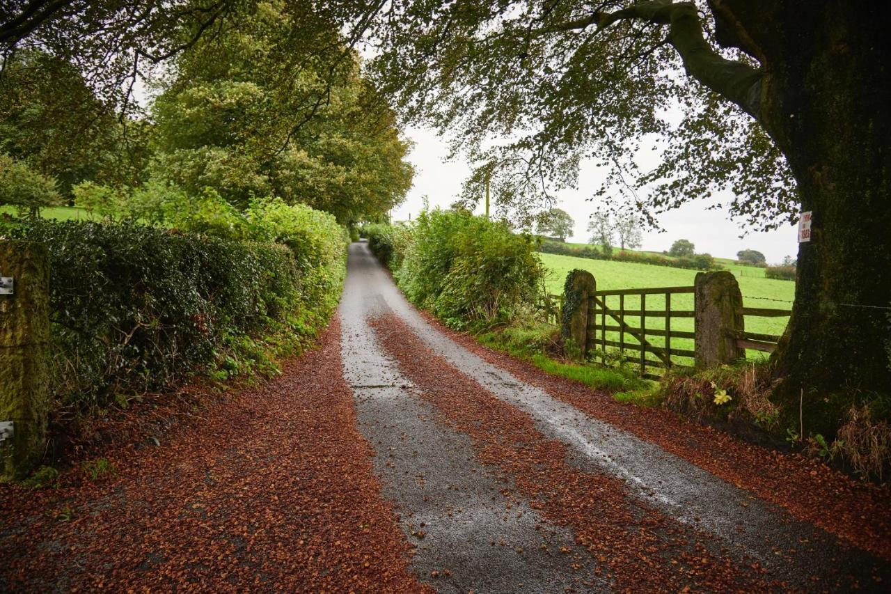 Newlands Farm Stables Villa Kendal Bagian luar foto