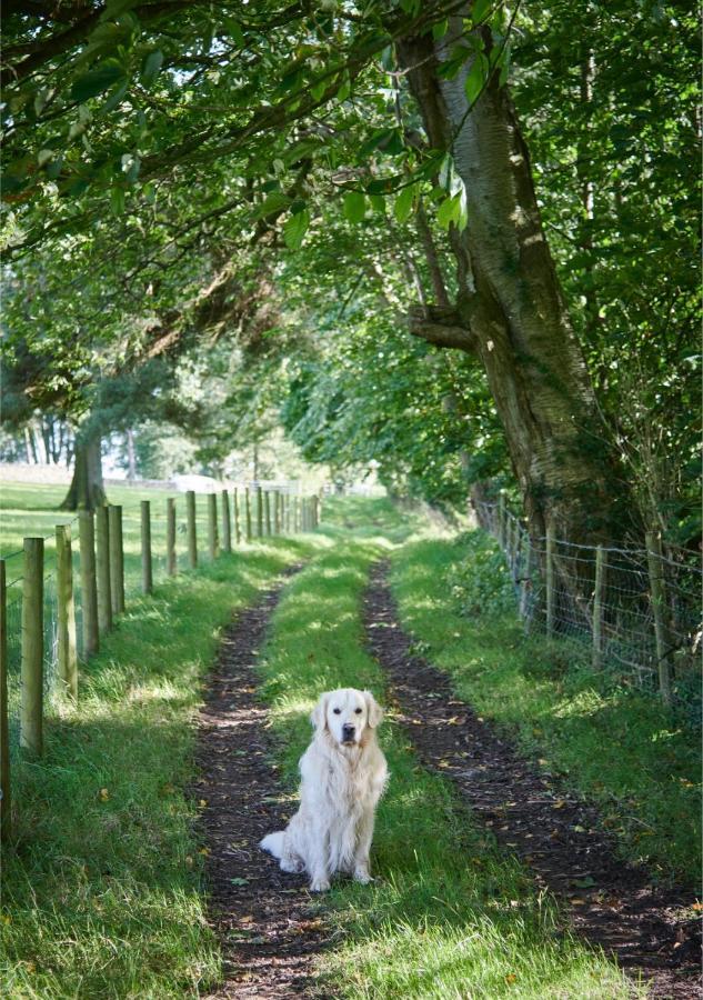 Newlands Farm Stables Villa Kendal Bagian luar foto