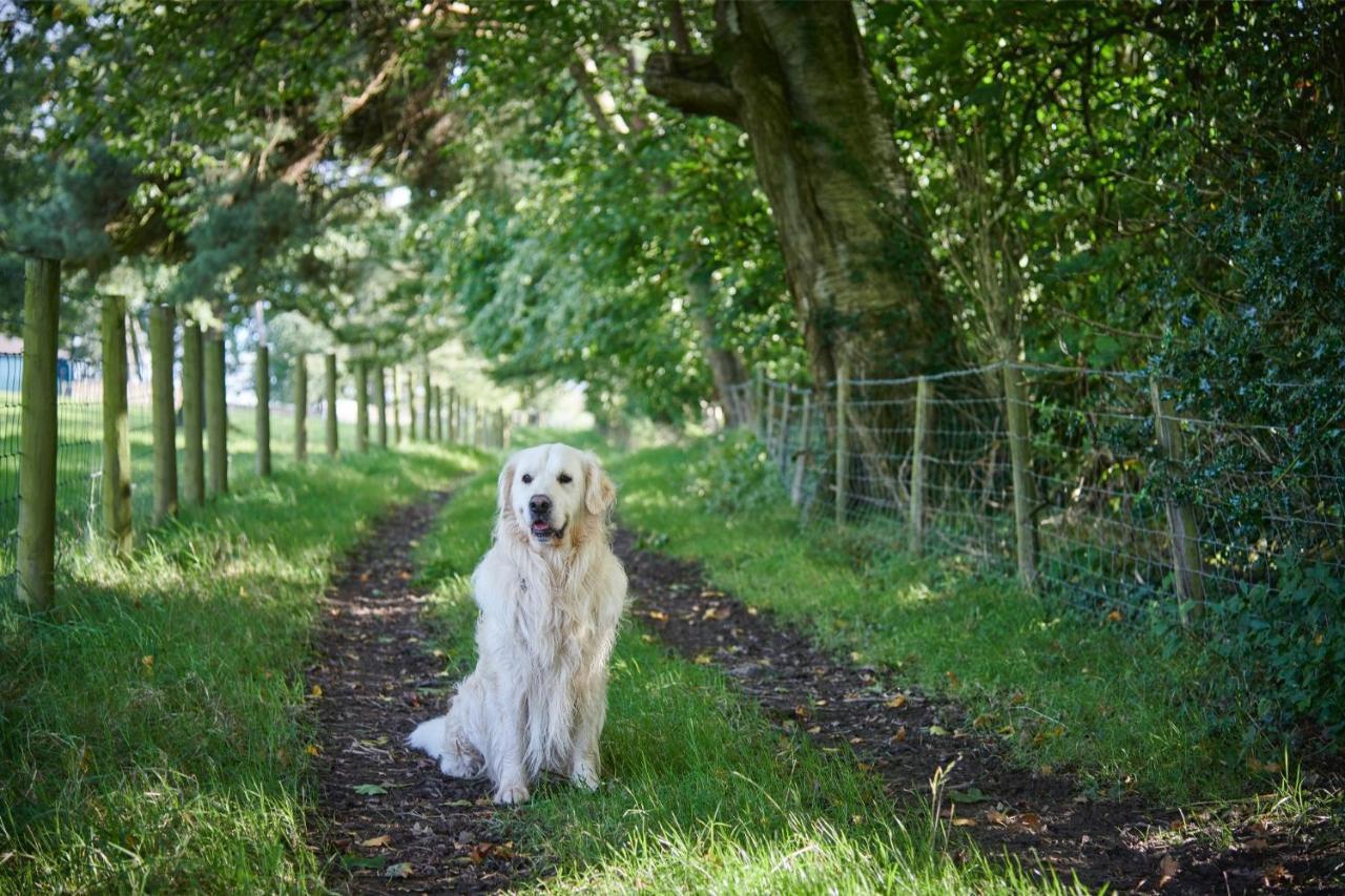 Newlands Farm Stables Villa Kendal Bagian luar foto