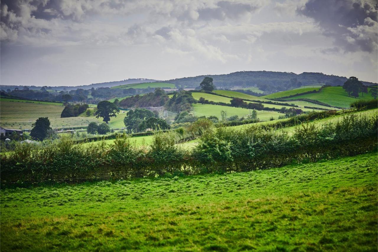Newlands Farm Stables Villa Kendal Bagian luar foto
